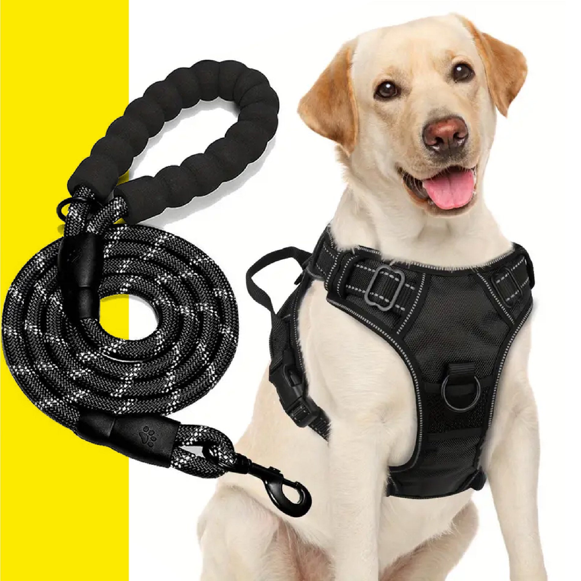 Arnes Collar Perros Grandes Con Correa - Homecity