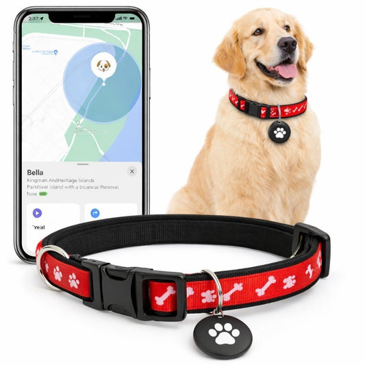 Collar Inteligente Con Gps Para Mascotas - Homecity