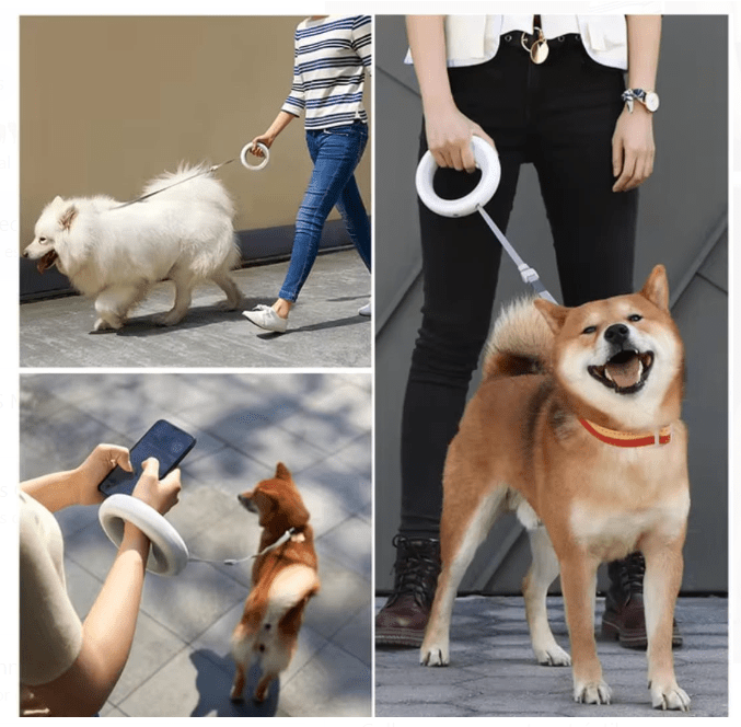 Correa Retráctil Para Mascotas - Homecity